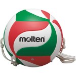 Volleyball MOLTEN V5M9000-T training